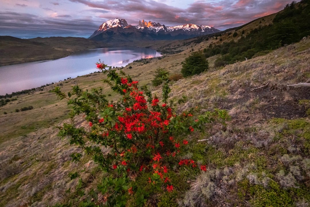 Laguna Azul at sunrise Torres del Paine