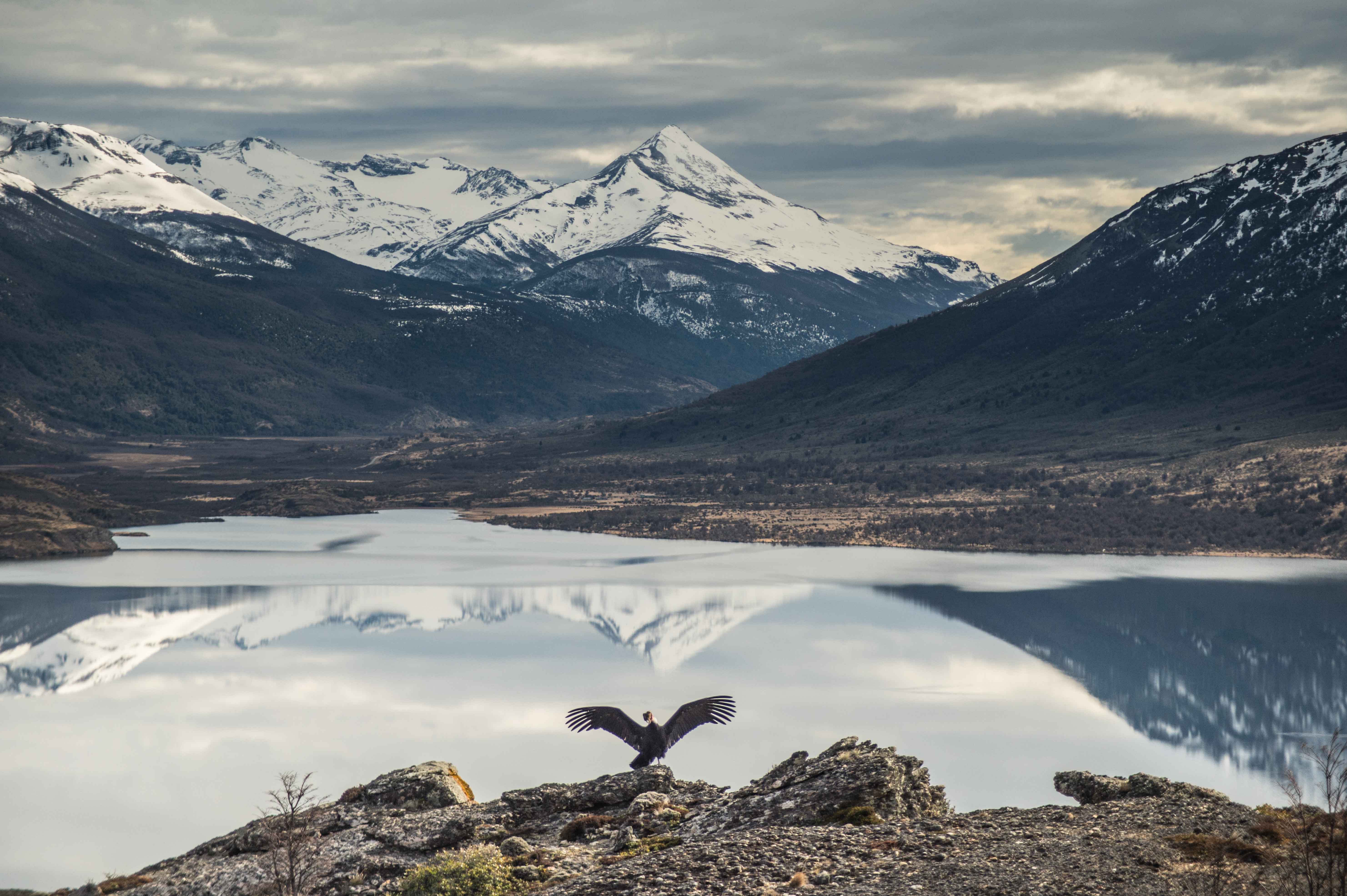 Laguna Sofia Patagonia