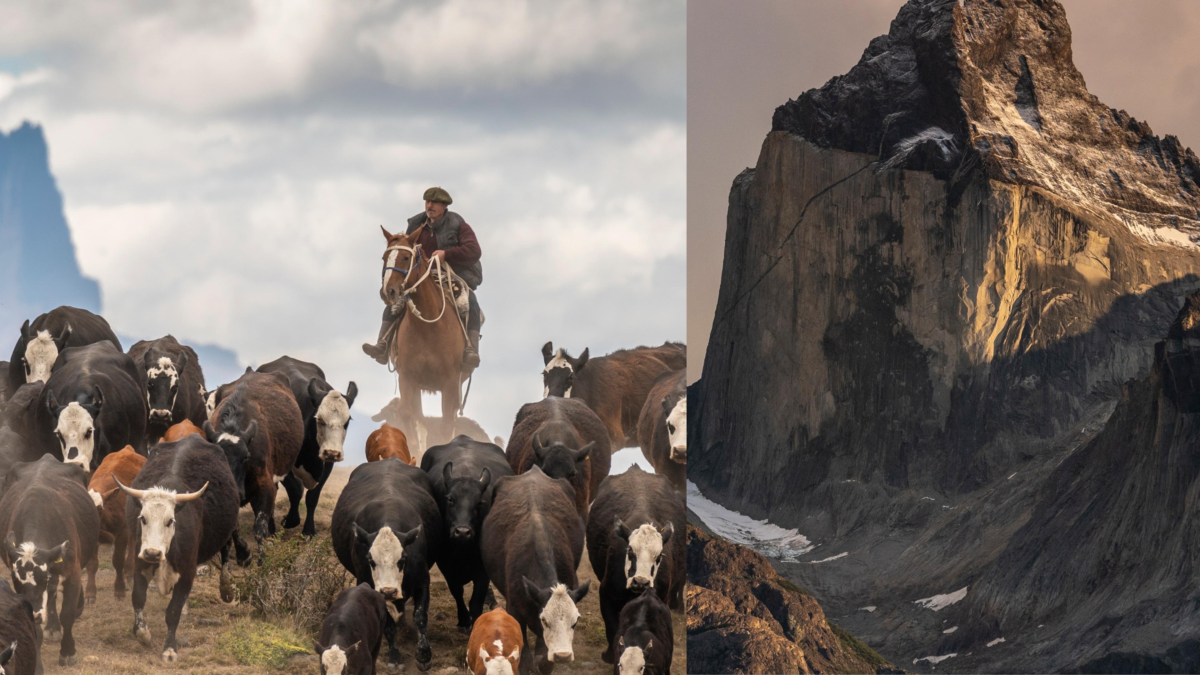 Los Cuernos - Baqueano Zamora Torres del Paine