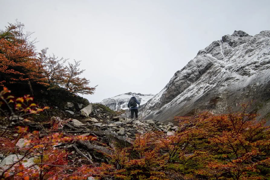 Torres del Paine Circuit_O Trek