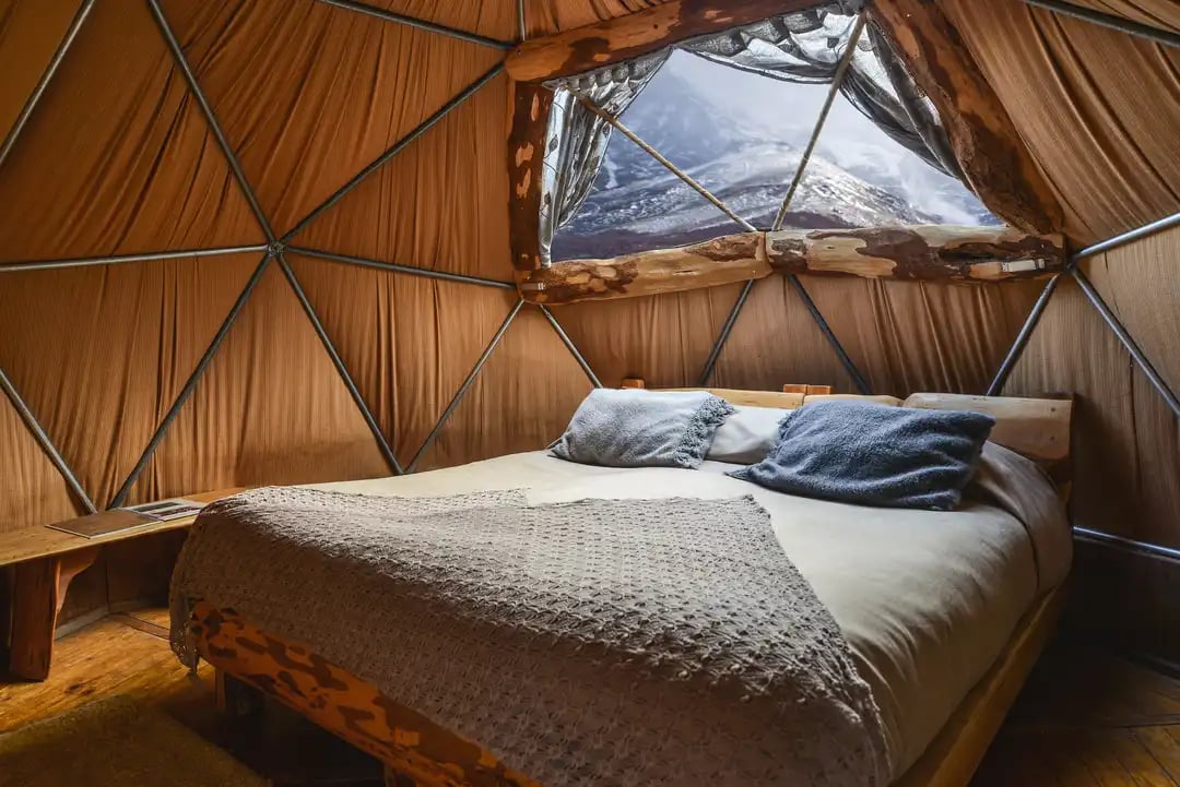 Standard Dome - Small - Webp