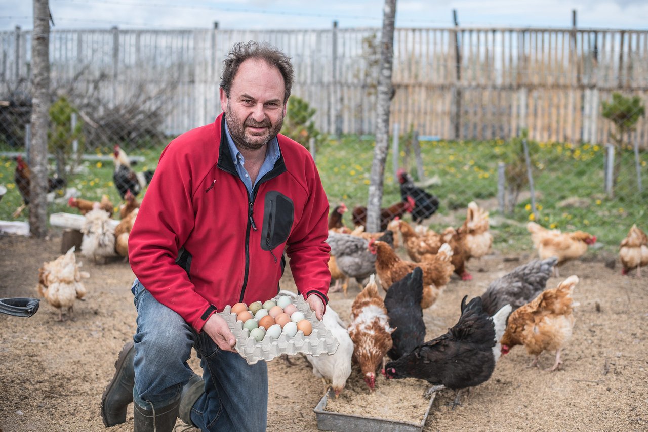  Patagonia Happy chicken eggs supplier