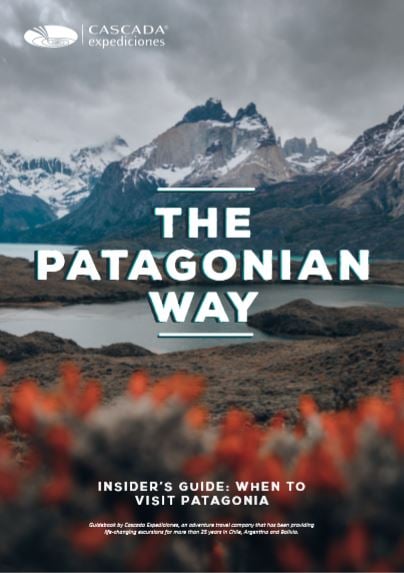 Guide to visit Patagonia