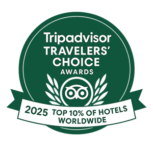 Tripadvisor Reviews
