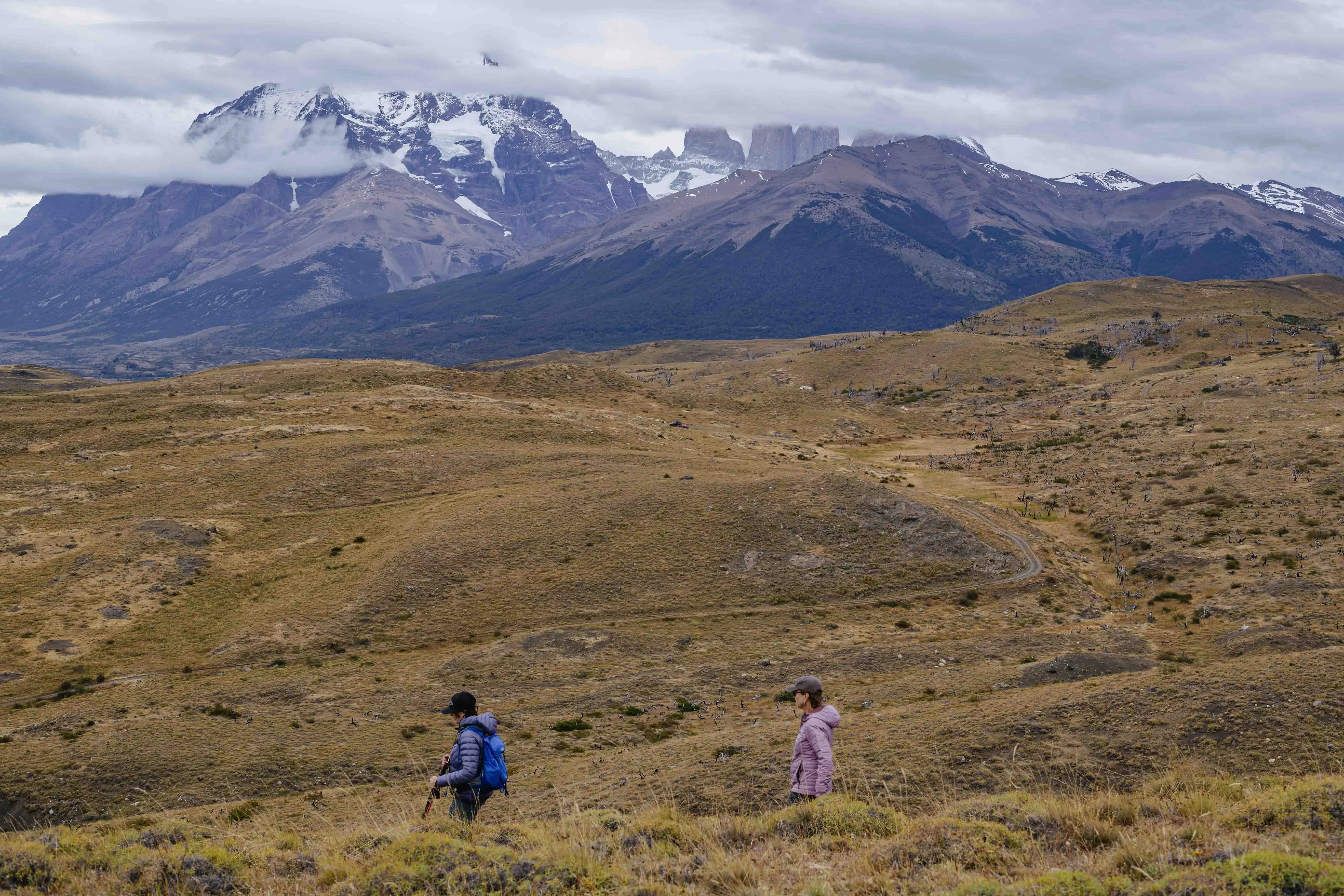 cañadon macho torres del paine national park. 