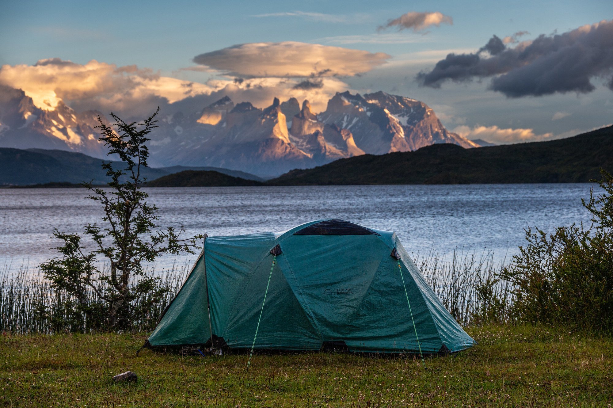 carpa lago brush