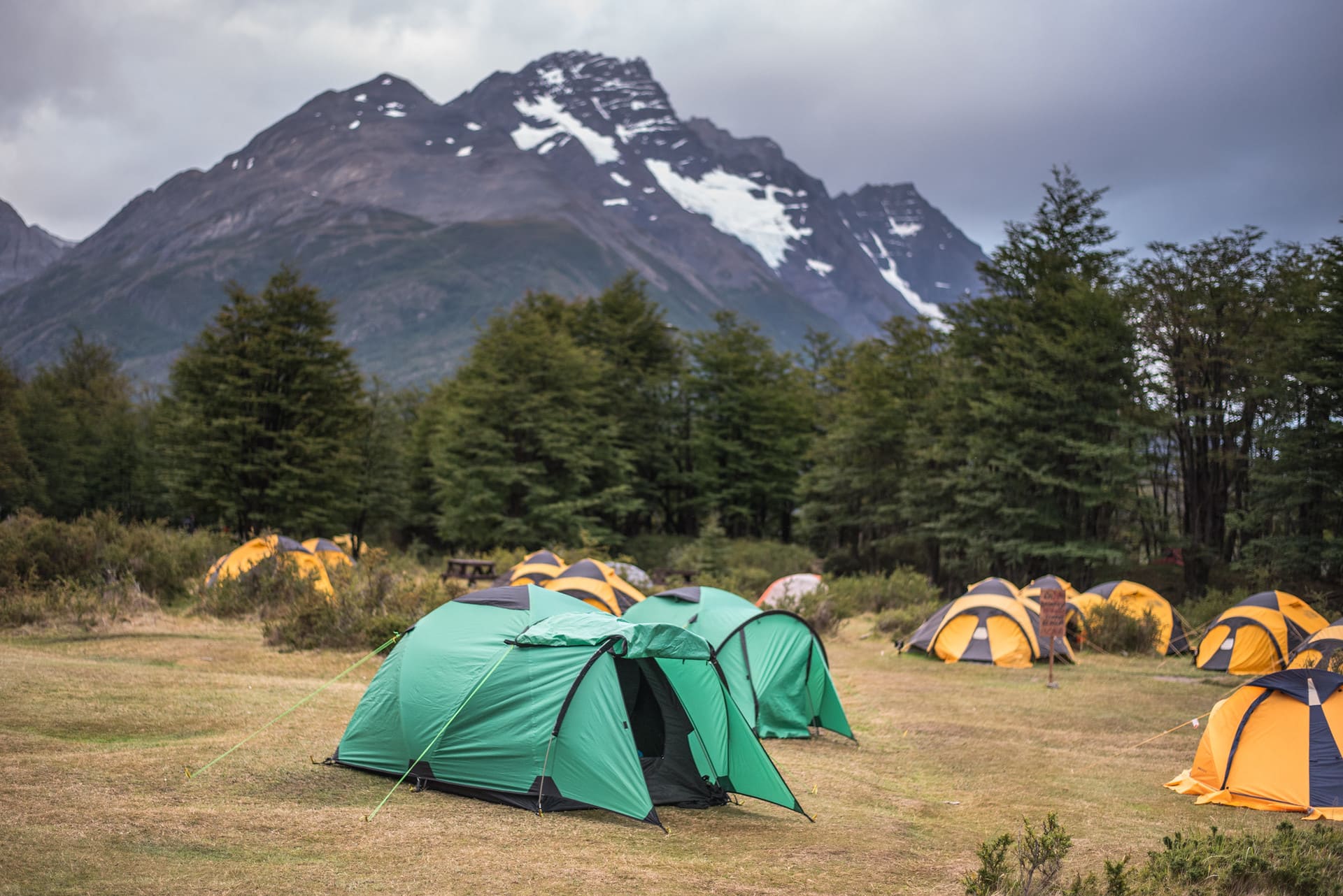 Refugio Dickson on Paine Circuit