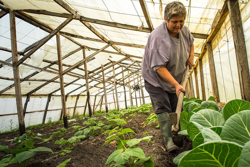 ecocamp farmer