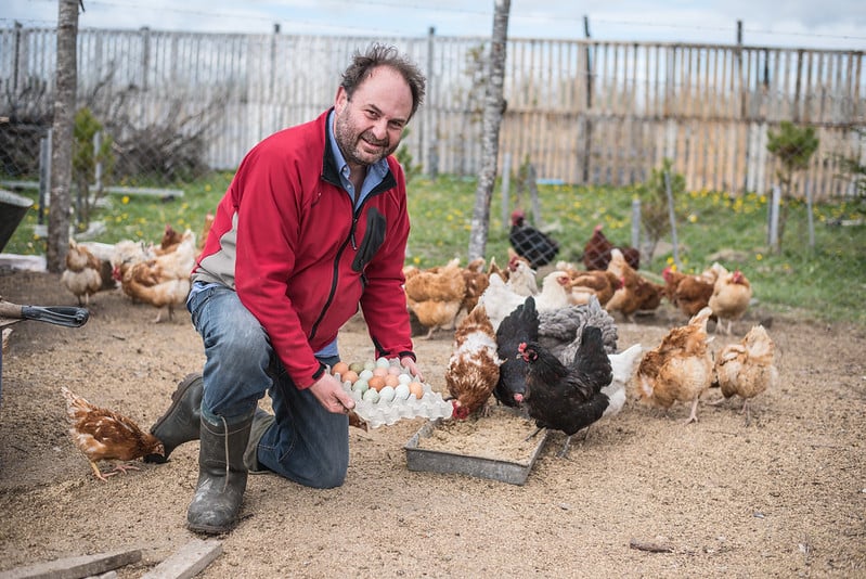 ecocamp eggs farmer