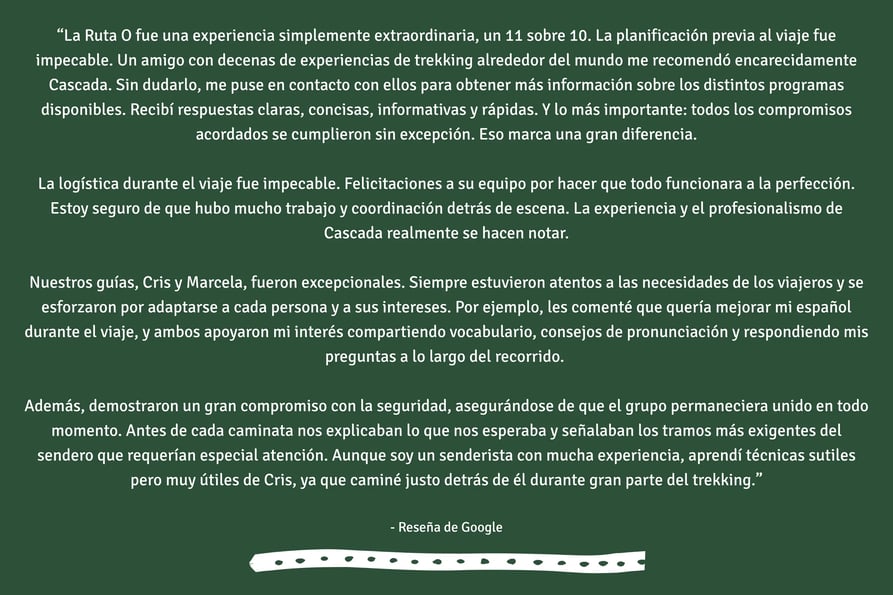 google review ESP