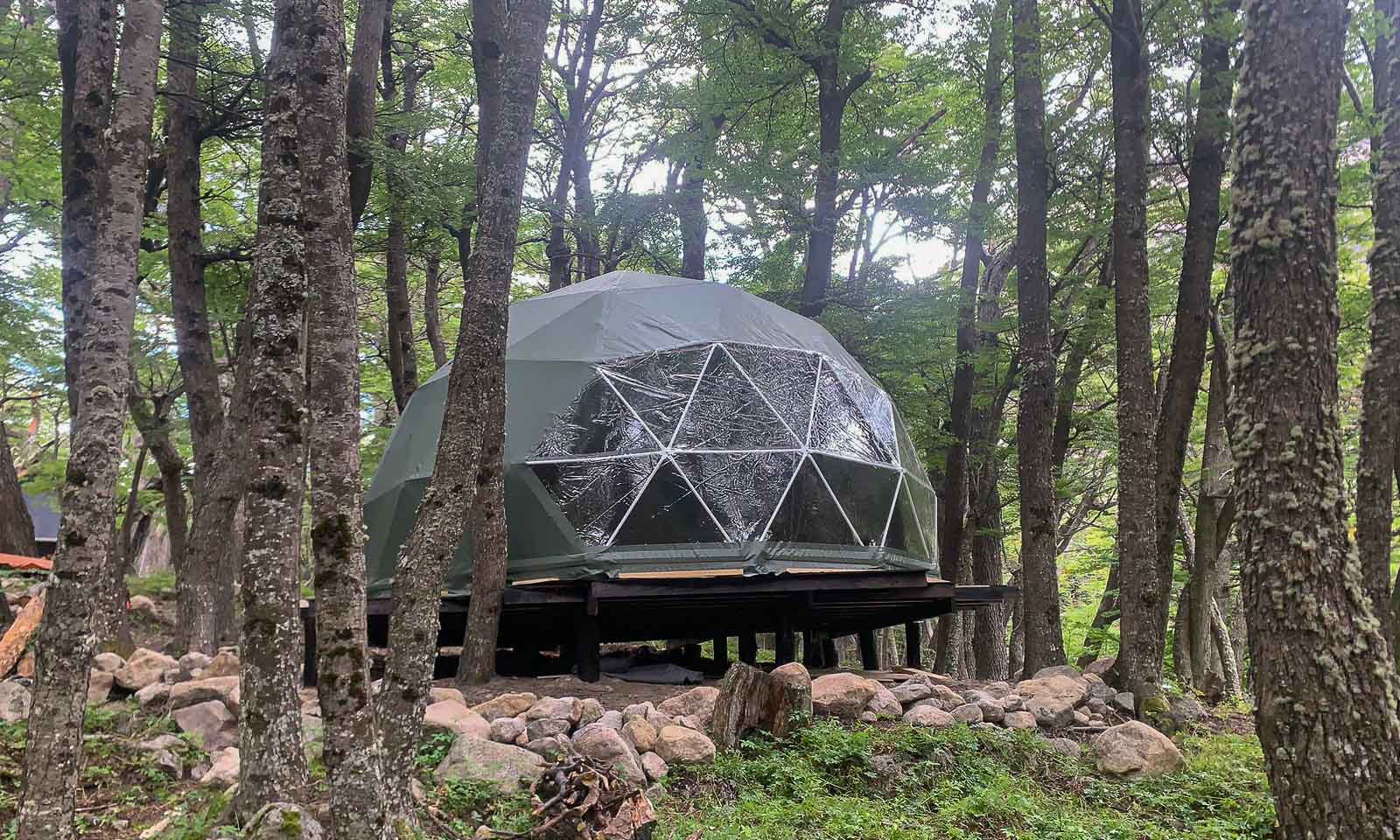huemul articulo-3