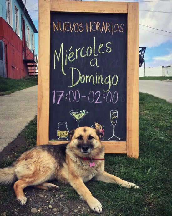 new opening hours Patagonic