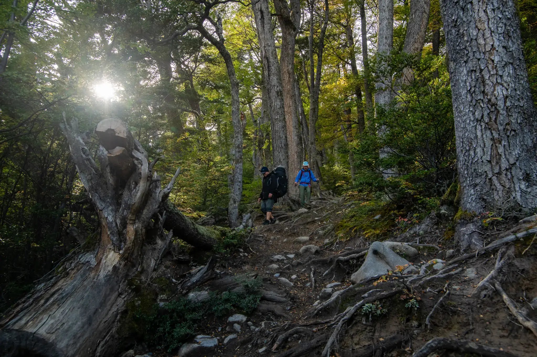 Torres del Paine Circuit_O Trek_hiking downhill