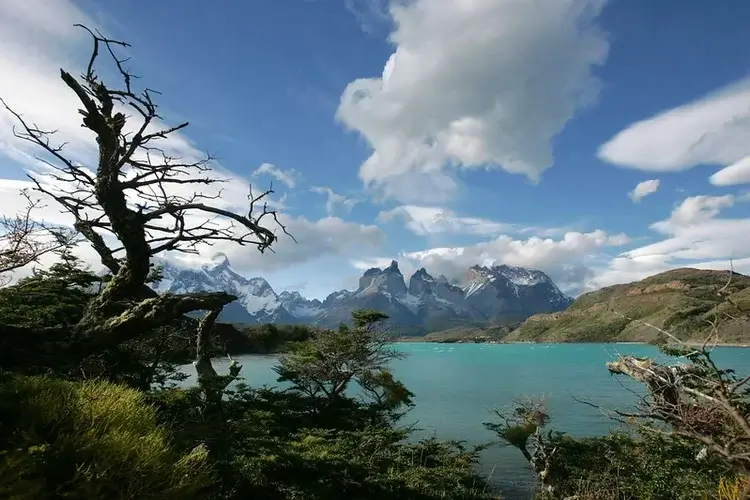 torres del paine view