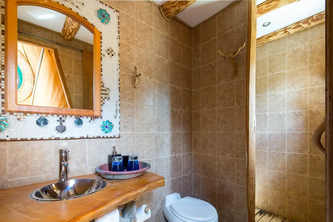 Bathroom Superior Dome