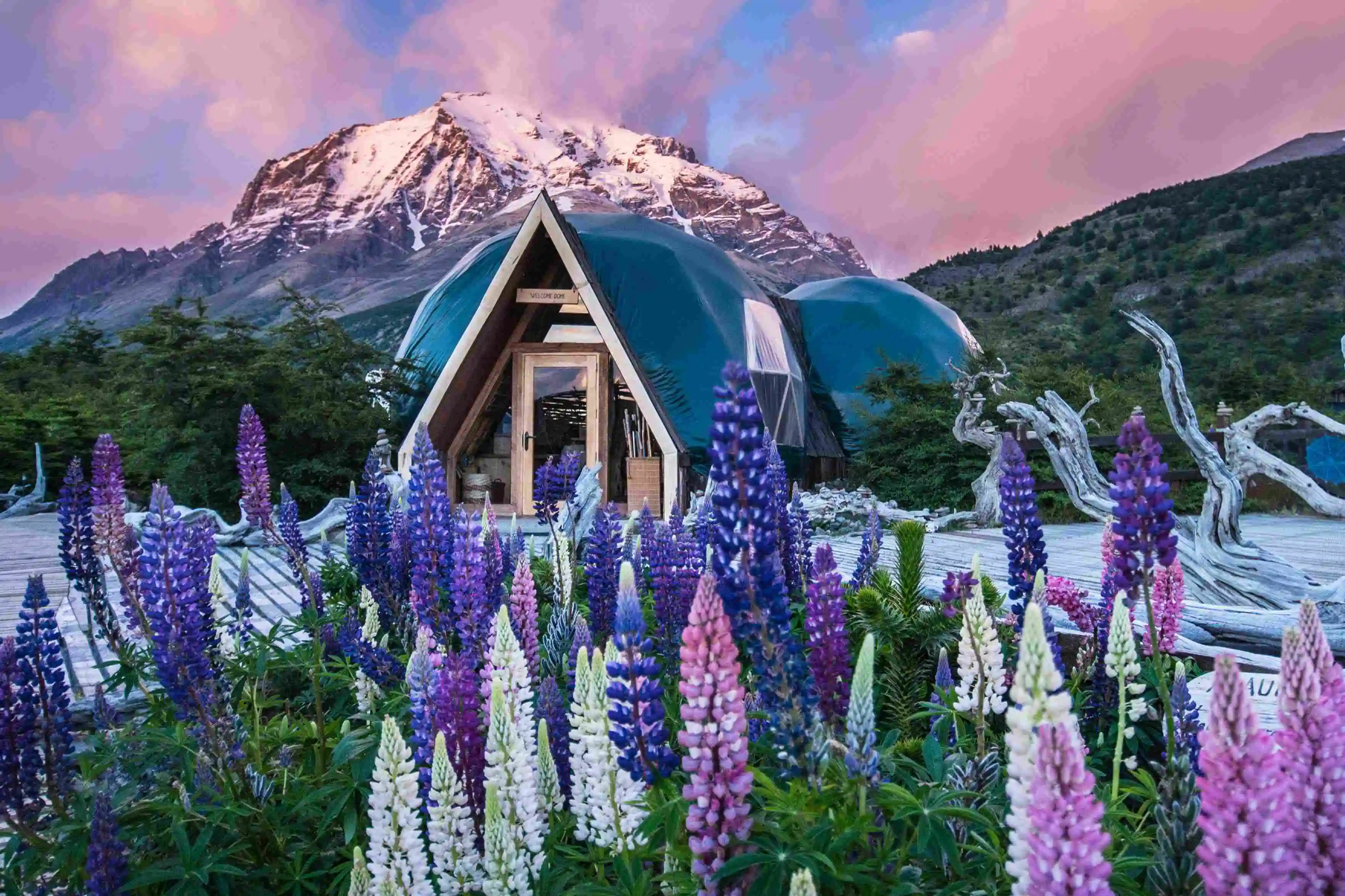 EcoCamp reabrirá sus puertas