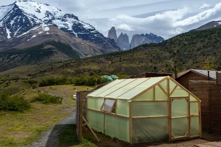 EcoCamp greenhouse