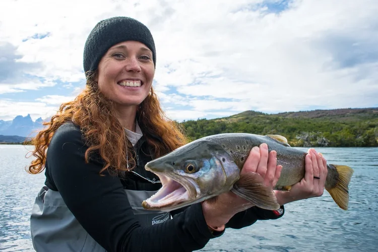 Good strike with a brown trout Patagonia