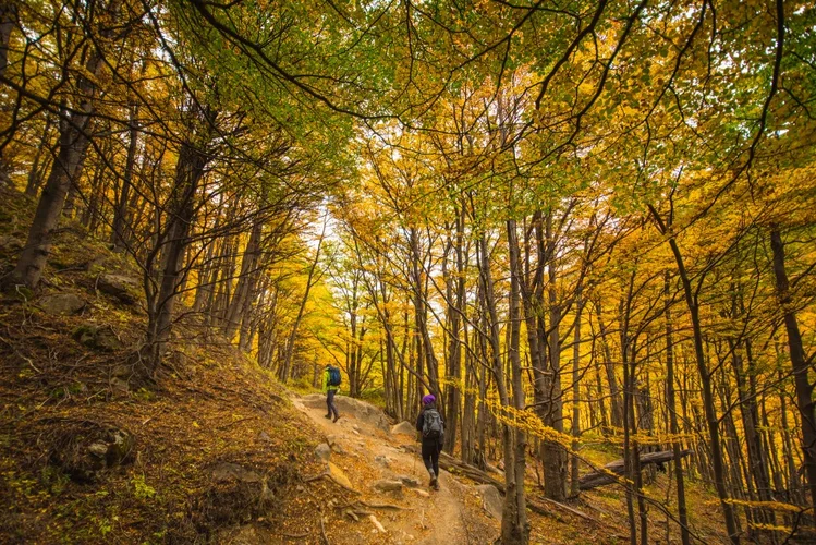 Trekking to the Towers beneath trees with just a hint of autumn