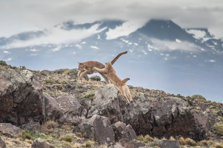 Fotografías más épicas de Torres del Paine