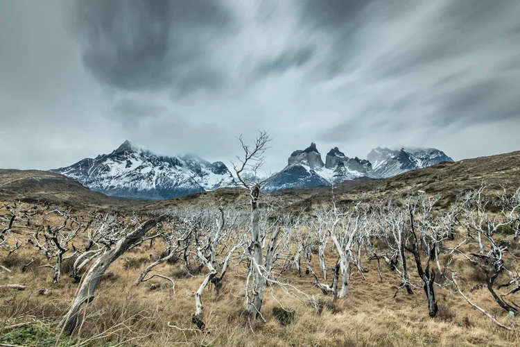 Inside the wildfires of Torres del Paine in 2005 and 2011