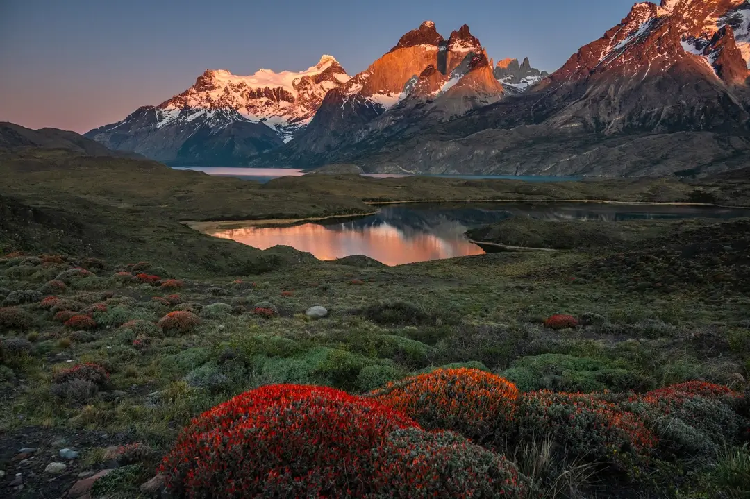 Spring in Torres del Paine