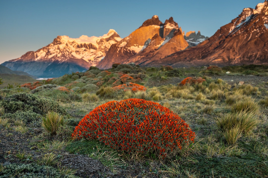 Spring in Patagonia